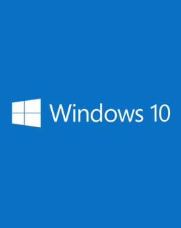 Windows 10 Pro DZGSMTEAM V2